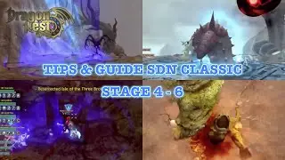 TIPS & GUIDE SDN CLASSIC STAGE 4 - 6 | DRAGON NEST SEA CLASSIC