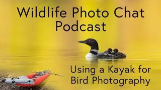 Using a Kayak for Bird Photography - Wildlife Photo Chat Video