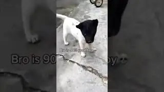 HE'S 10% EVIL