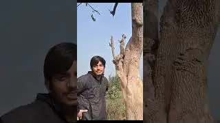 Ladki ke chakker me ledka hua pagel.....subscribe for next reel @RaziAnsari-km2le 
