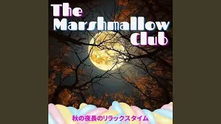 Moonlit Nighttime Delights