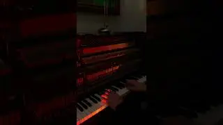 Růže - Calin & Stein27 (piano) #czech #piano #calin #stein27 #růže