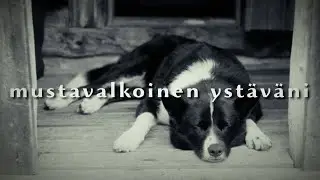 Mustavalkoinen ystäväni †