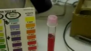 API 水族毒素測試劑之硝酸鹽部分操作使用教學 水質檢測 內有販售