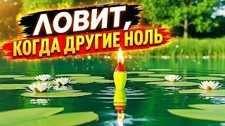 Парафиновый поплавок для капризной рыбы.