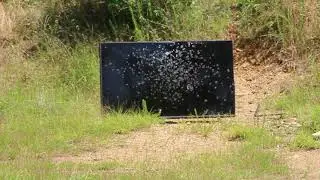 55 inch TV vs. Double Aught Buck, .38 Special & 9mm