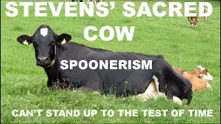 Sovereign Citizen Marc Stevens Proves Juan Galt Right!