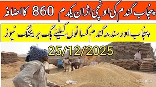 Wheat final price increase in punjab pakistan 2025/wheat price today/gundam rates updates