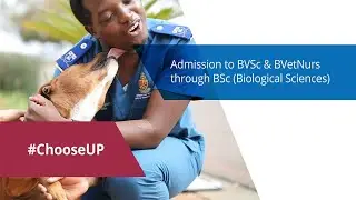 Alternative Admission to BVSc & BVetNurse from BSc (Biological Sciences), BScAgric, etc