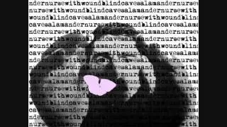 Nurse With Wound & Blind Cave Salamander &lrm;- Untitled