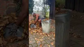 Leaf🍁Scoop🍁 Must Have Tool!