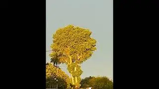[FREE] Type Beat Instrumental