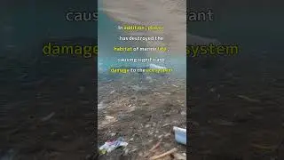 A terrible fact, the impact of plastic garbage on