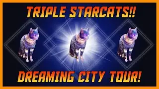 Destiny 2 Weekly Secrets Three Starcats! Let Me Show You! Not Drunk This Time!