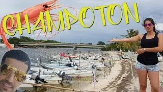 #CONOCIENDOMEXICO CHAMPOTÓN - CAMPECHE