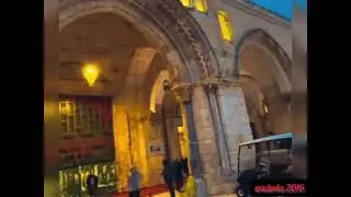 #imprtance of masjid aqsa #stand with Palestine #shorts#viral