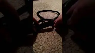 Double Dog Leash Review