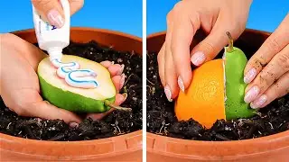 Astuces intelligentes pour la culture des plantes et conseils de jardinage