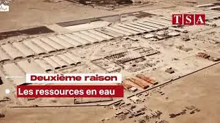 Ferme g&eacute;ante Baladna : l'Alg&eacute;rie mieux adapt&eacute;e que le Maroc et l'Espagne