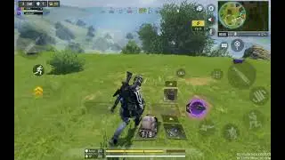Winning with HG 40 Gold Standard