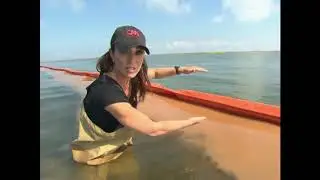 Chandeleur Islands Oil Spill - CNN