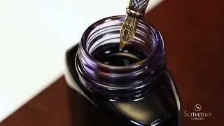 Amazon com  Scriveiner Silver Chrome Fountain Pen   Stunning Luxury Pen with 24K Gold Finish, Schmid