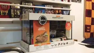 BLACK FRIDAY DEAL! Leopard Gecko Setup