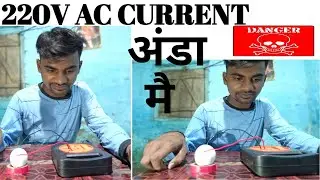 Passing 220V AC Current in Egg | Amazing Science Experiments |