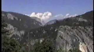 Wilbur's Travels Redwood Forest Thru San Francisco Part 6