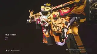 🐯Tiger Strips Tracers ) YEAR OF THE TIGER 🐯 TRACER BUNDLE IN Vanguard ‼️
