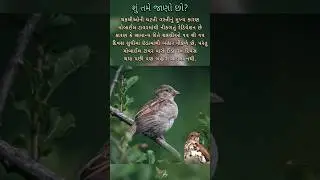 Save Wildlife🙏 Save Birds 🐦 #savebirds #savewildlife #viral #viralvideo #status #shorts #trending