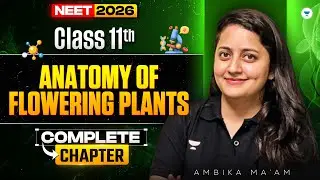 Anatomy of Flowering Plants | Class 11th | NEET 2026 | Ambika Mam