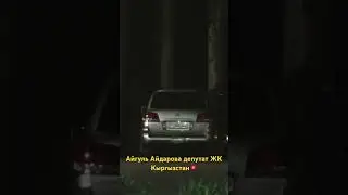 Айгуль Айдарова, депутат ЖК  Кыргызстан #блогер