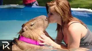 10 Unusual Human - Animal Relationships