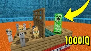 Testing Creeper IQ In Minecraft To See How Smart They Are