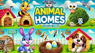 Animal Homes for Kids | Fun Learning Video for Toddlers | Where Do Animals Live? | Educational video