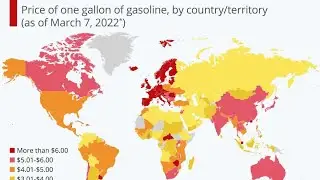 How Gas Prices Compare Around The World Infographic