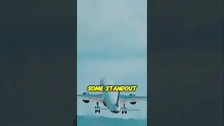 How to SPOT the AIRBUS A330neo in Seconds!