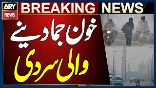 Freezing Cold and Dense Fog | Lahore Weather Latest Updates | Breaking News