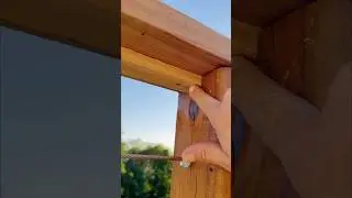 MASSIVE DECK: Rail Install for Cable System using Stopped Dado Joint #homerenovation #deck #diy