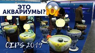Прудики для золотых рыб на выставке CIPS 2019 в Шанхае.