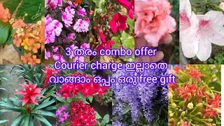 3 types of combo offer can be purchased without courier charge and a free gift pls msg in62350796...