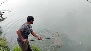 Best fishing tournament of village anglers @FishWatching