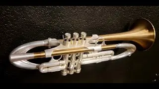 Ready to OWN a Muse MMXX? - Trumpet Momentum - May 10th 2023 Practice Session