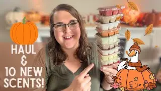 HAUL with 10 NEW Fall/Winter Seasonal Insert Scent Reviews! 🍂 