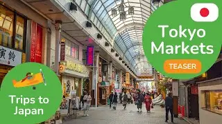 Tokyo Markets 360 Teaser | 3D 8K Experience | DYNAMIC LANGUAGES