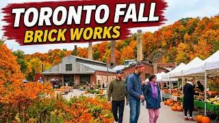 Autumn Walk at Toronto&rsquo;s Brick Works Farmers Market 🍂 | Beautiful Fall Colors in Canada