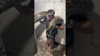 perti nagyung bug-ata sa akong wati #MrLee #leesdesignercakes #localcommunity#trendingnow#pet#snake