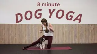 DOGA: Dog Yoga Class