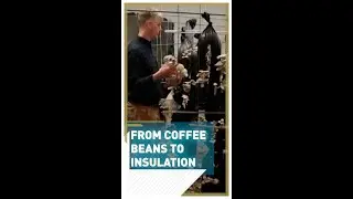 From coffee beans to fungus-based insulation